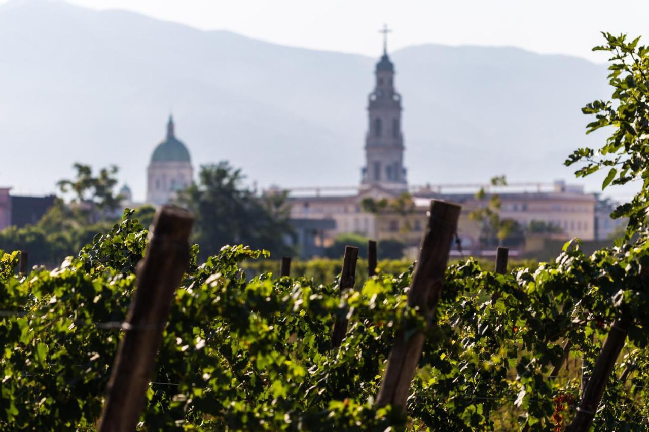 Hotel & Winery Bosco De Medici Pompeï