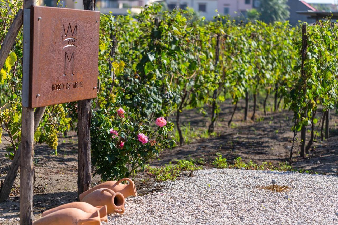 & Winery Bosco De Medici Pompeï